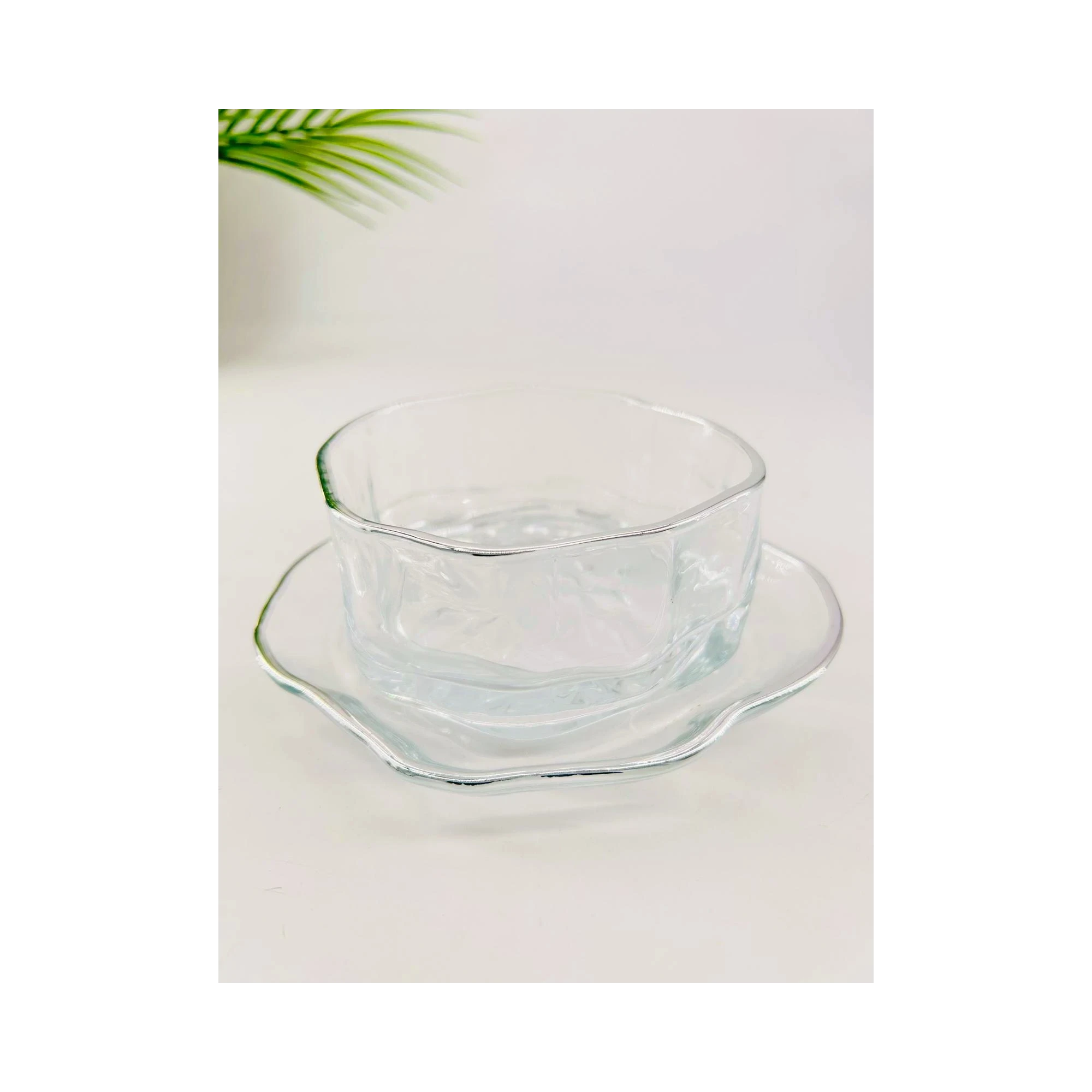 Élégance Argentée – Ensemble de Bols et Assiettes en Verre