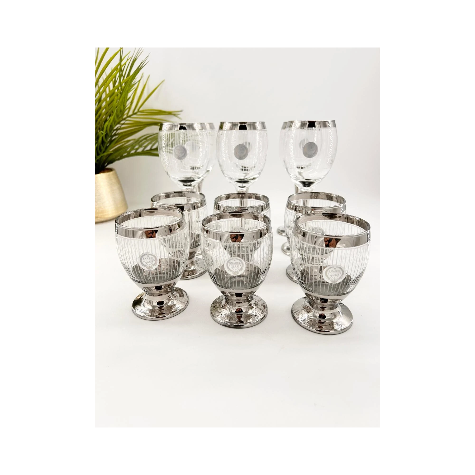 Ensemble Élégance Argentée : 12 Verres avec Liseré Large